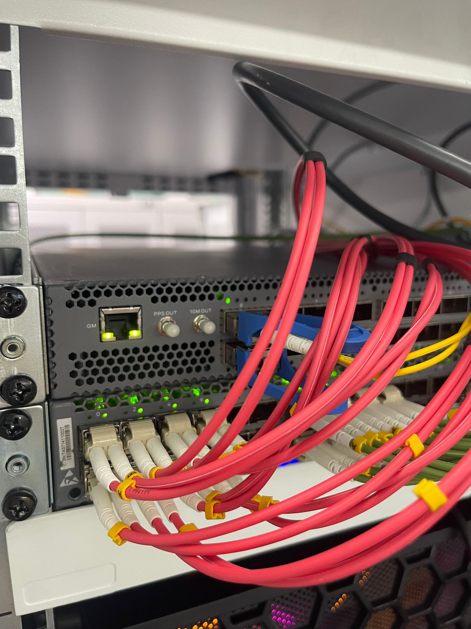 Server ve Network Cihazları